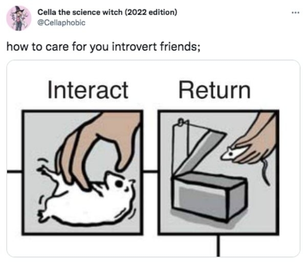 introvertmemes6_029