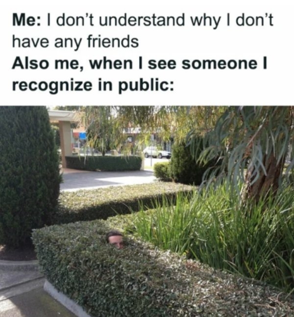 introvertmemes6_031