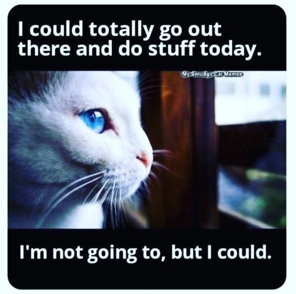 introvertmemes6_032