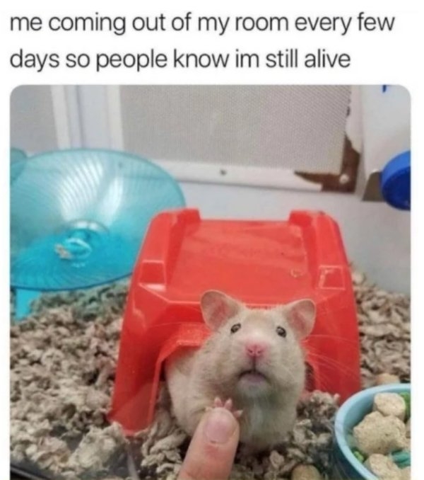 introvertmemes6_034