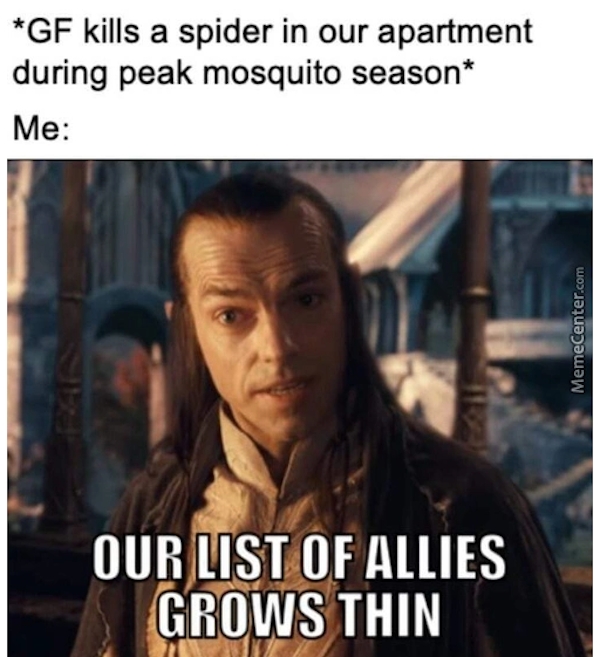 lotrmemes7_011