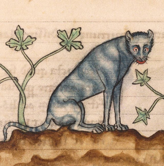medievalcatartfails_001