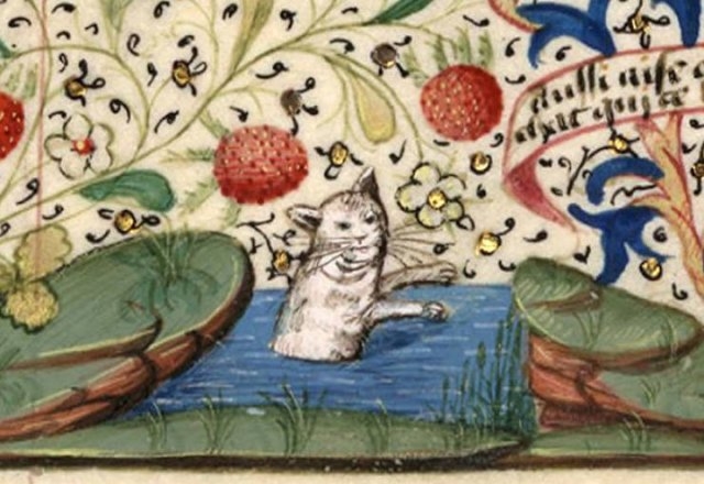 medievalcatartfails_003