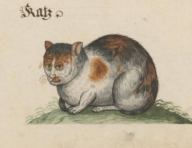medievalcatartfails_004