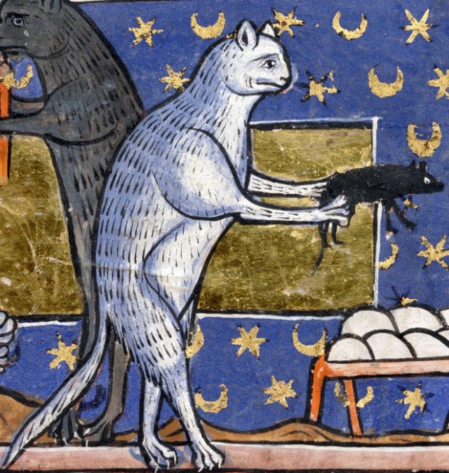 medievalcatartfails_005