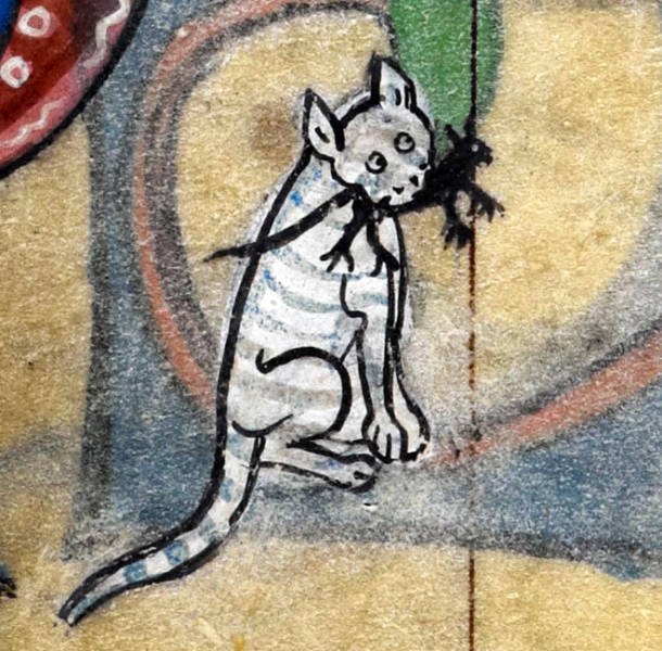 medievalcatartfails_006