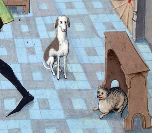 medievalcatartfails_008