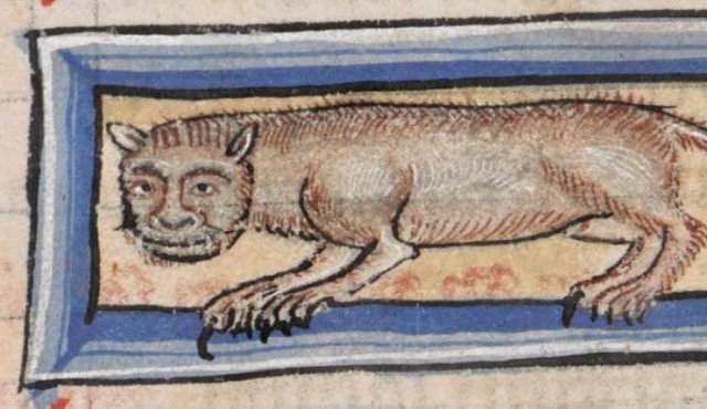 medievalcatartfails_010