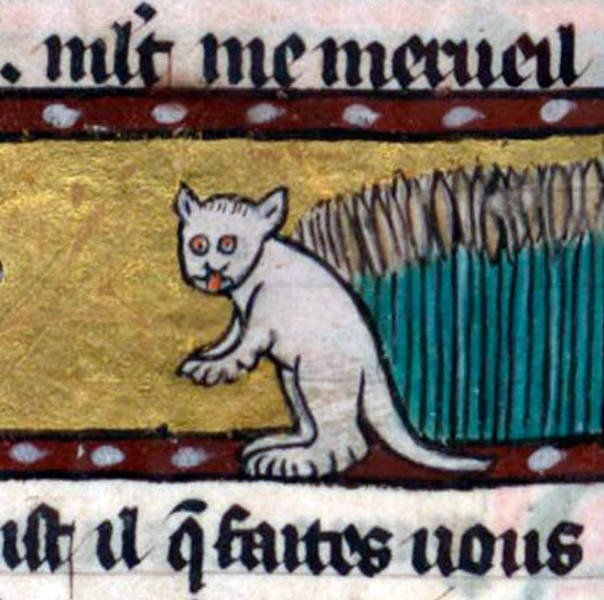 medievalcatartfails_011
