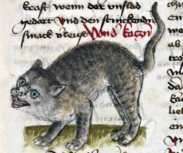 medievalcatartfails_012