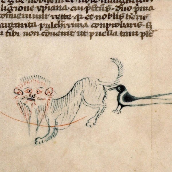 medievalcatartfails_013