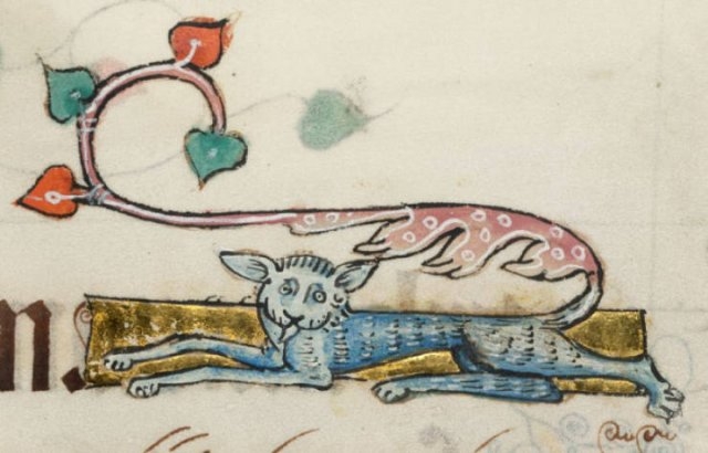 medievalcatartfails_016
