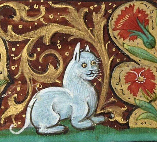 medievalcatartfails_018