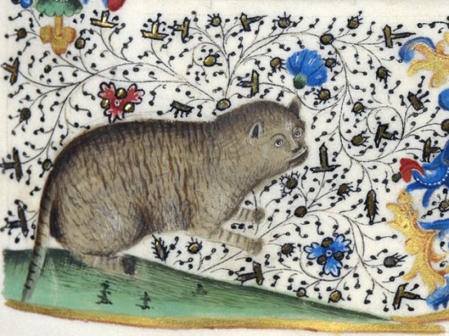 medievalcatartfails_019