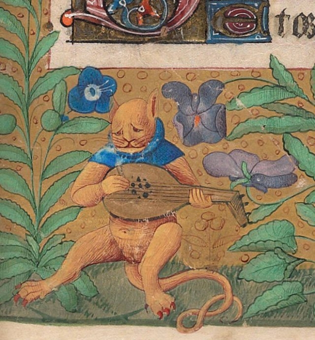 medievalcatartfails_020
