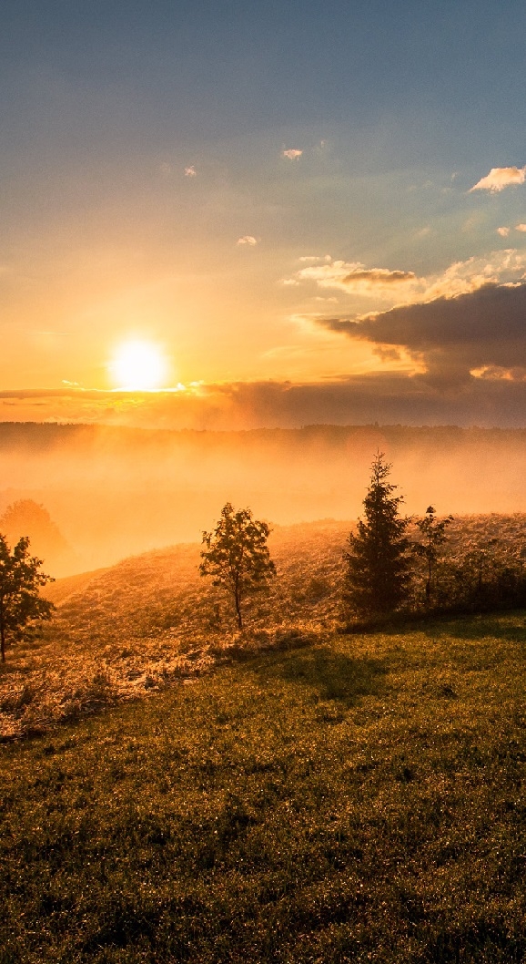 mobilewallpapers9_017