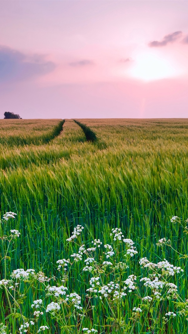 mobilewallpapers9_018