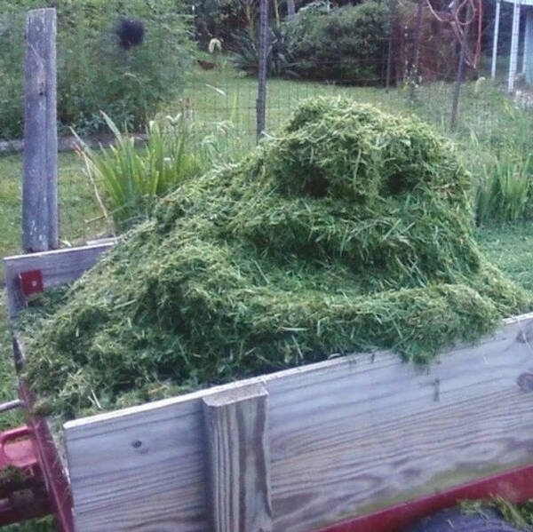 opticalillusions3_007