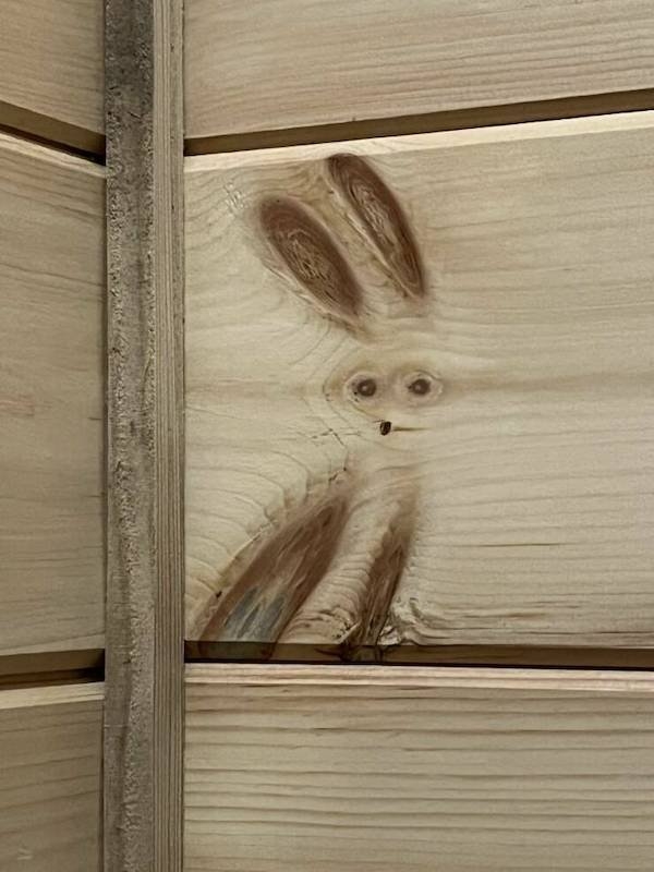 opticalillusions3_012