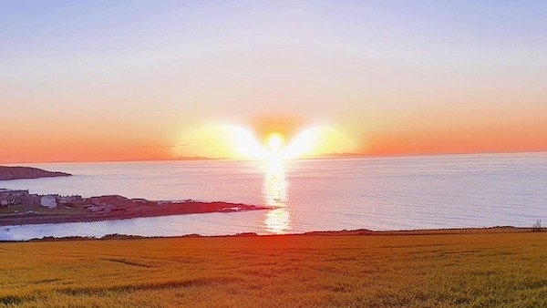 opticalillusions3_013