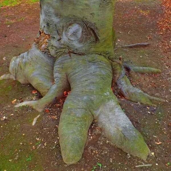 opticalillusions3_016