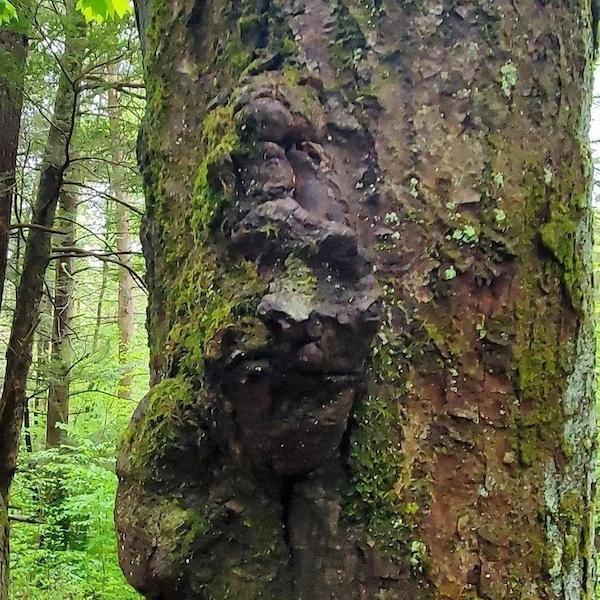 opticalillusions3_021