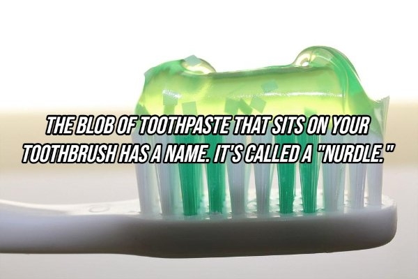 pixarfacts13_002