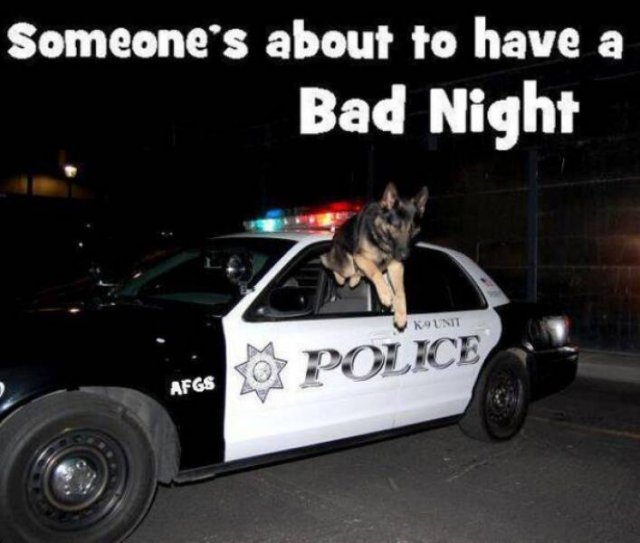 policeallovertheworld_022