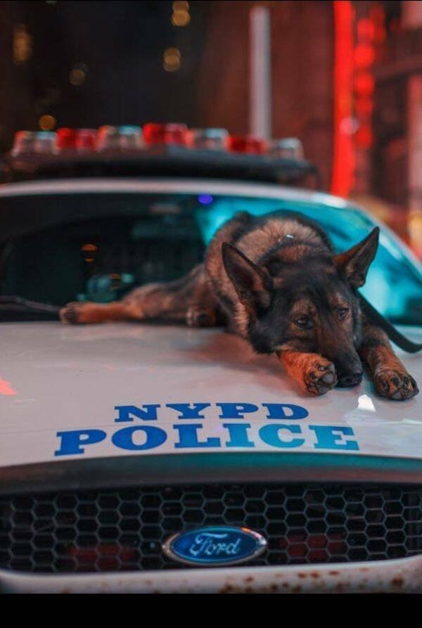 policeallovertheworld_031