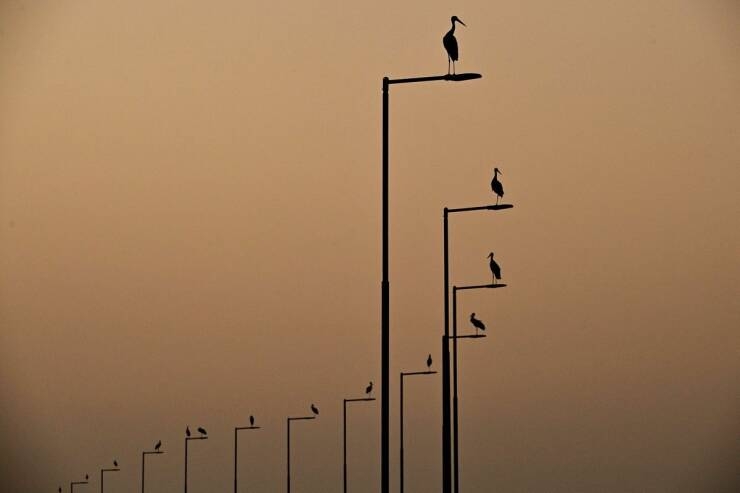 randompics693_071