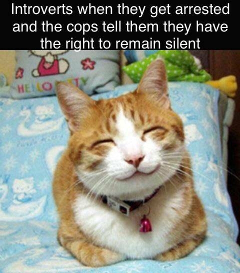 randompics707_009