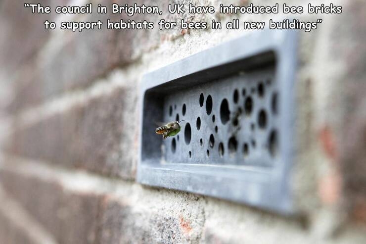randompics707_050