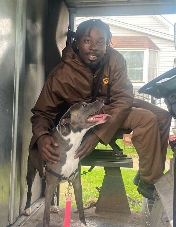 dogs12_003