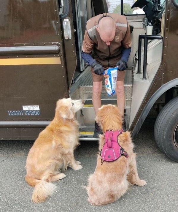 dogs12_004