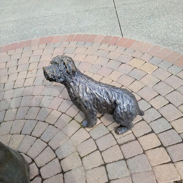 dogs12_018