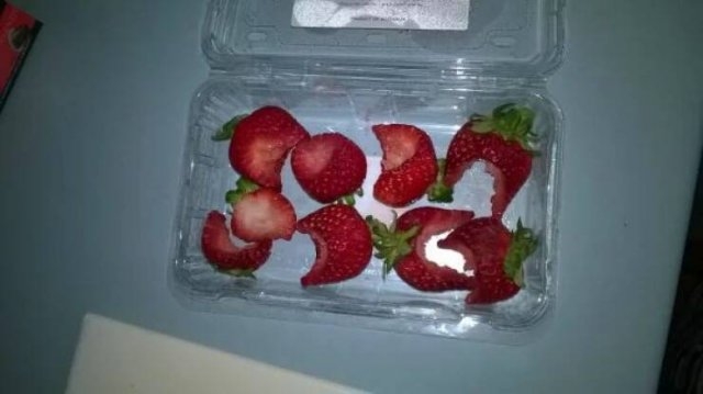 fails51_054