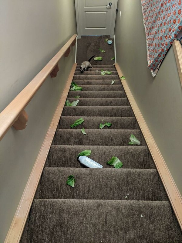 fails52_027