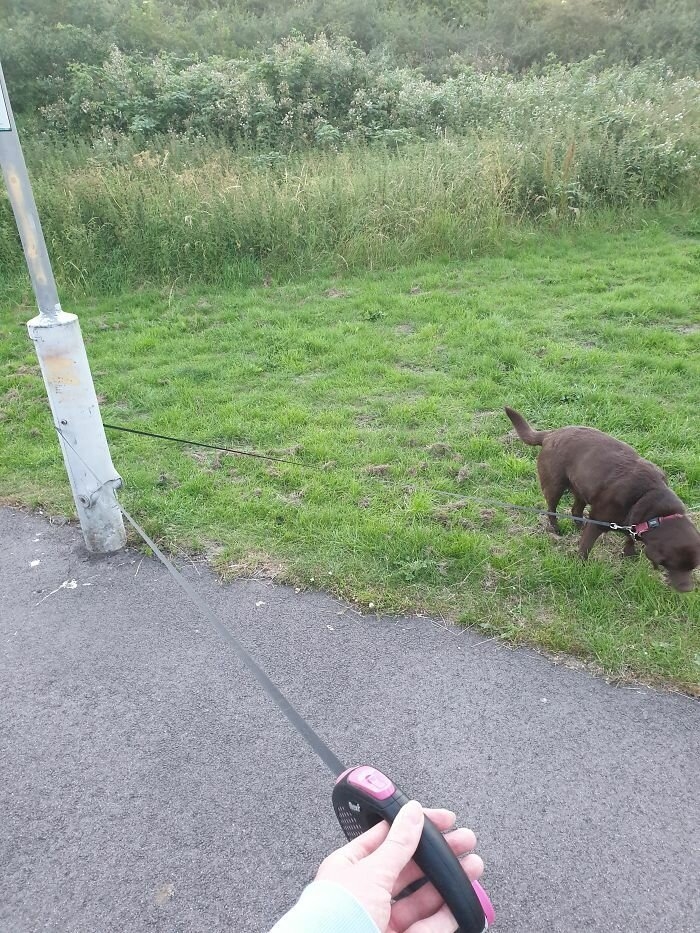 fails53_028