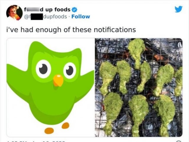 foodfails3_033