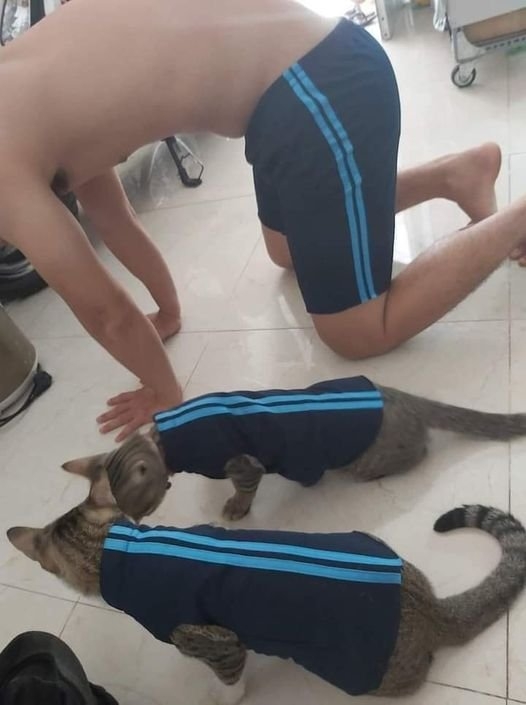 funnyanimals28_001