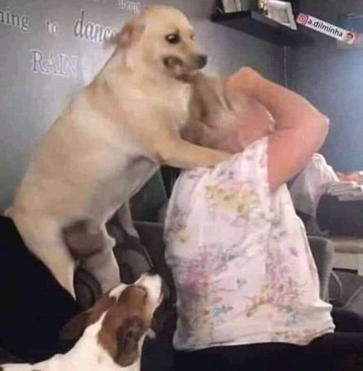 funnyanimals28_014