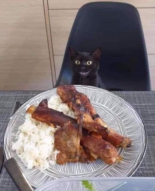 funnyanimals28_018
