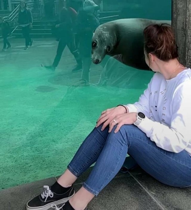 funnyanimals28_033
