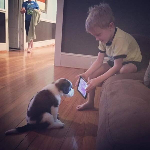 funnyanimals28_035