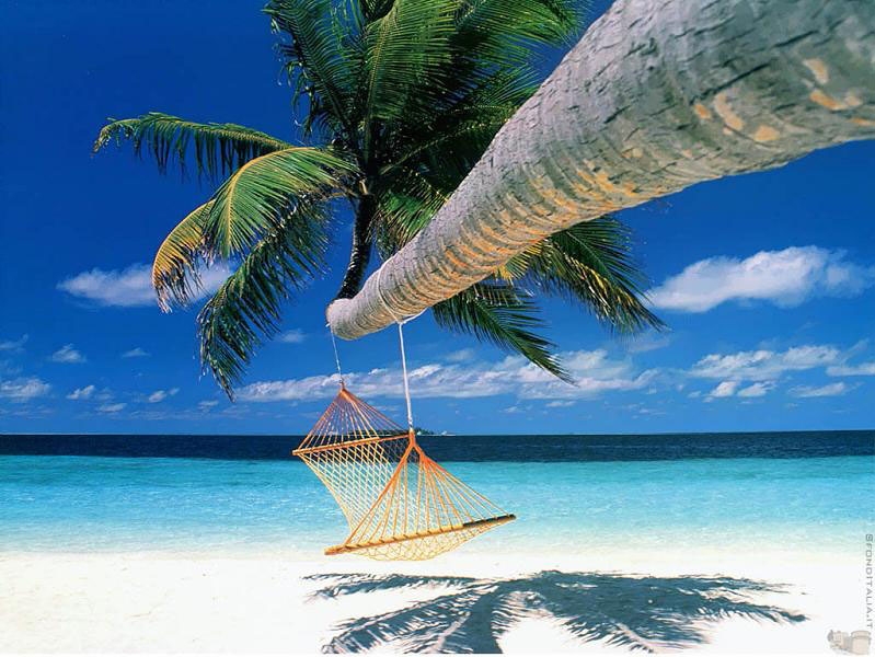 hammocks_008