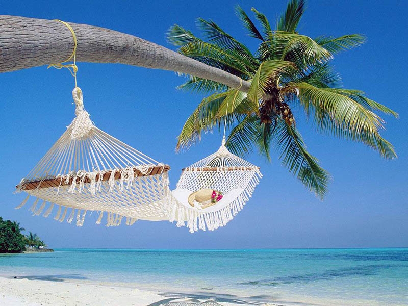 hammocks_009