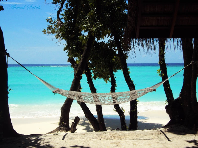 hammocks_012