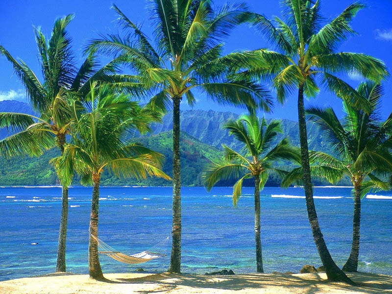 hammocks_018