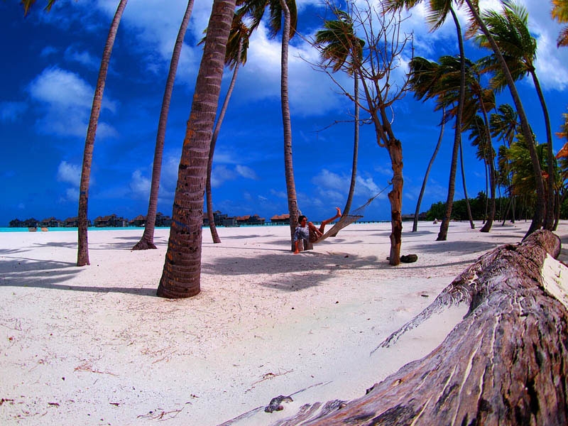 hammocks_019
