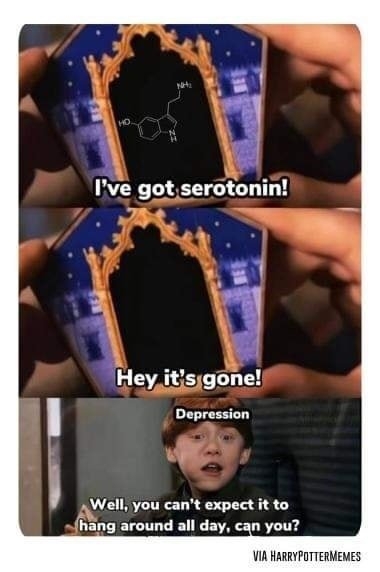 harrypottermemes3_004